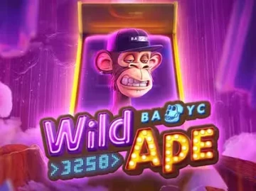 Boomerang Casino screenshot